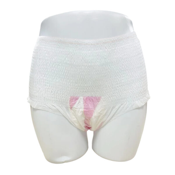 High Quality Disposable Female Period Underwear Comfortable Breathable Cotton Sanitary Napkin Pants